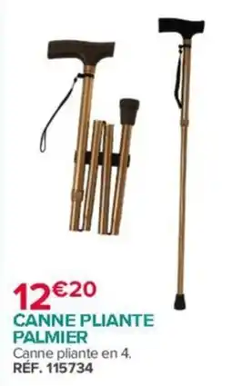 Bastide PALMIER Canne pliante offre
