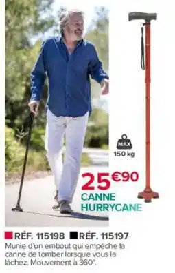 Bastide HURRYCANE CANNE offre