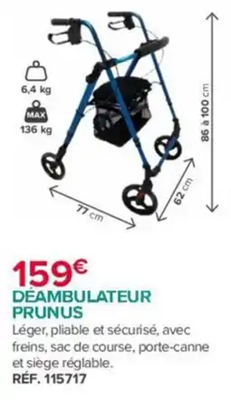 Bastide PRUNUS DÉAMBULATEUR offre