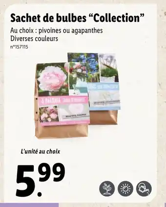 Lidl Sachet de bulbes "Collection" offre