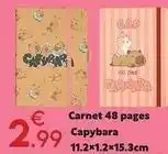 Maxi Bazar Cap - carnet 48 pages offre