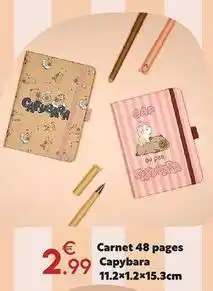 Maxi Bazar Cap - carnet 48 pages ybara offre