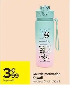 Carrefour Drive Gourde motivation kawaii offre