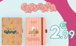 Maxi Bazar Cacahuetes offre