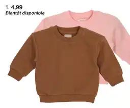 Zeeman Sweat offre