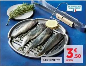Hyper U SARDINE offre