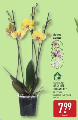 ALDI GARDENLINE ORCHIDÉE offre