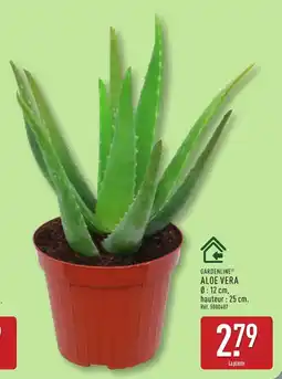 ALDI GARDENLINE ALOE VERA offre