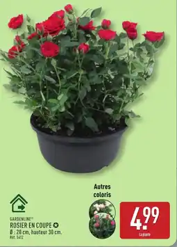 ALDI GARDENLINE ROSIER EN COUPE offre