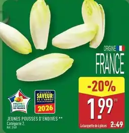 ALDI Jeunes pousses d'endives offre