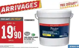 Brico Cash Sous-couche plaques de platres 10l offre