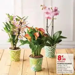 Hyper U Plantes fleuries offre