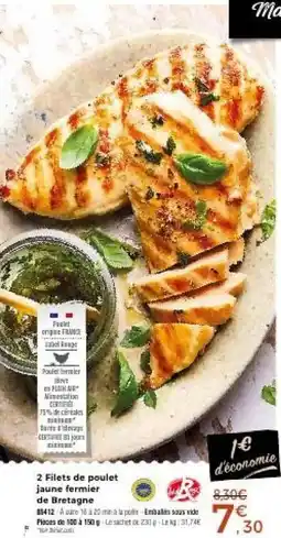 Thiriet 2 Filets de poulet jaune fermier de Bretagne offre