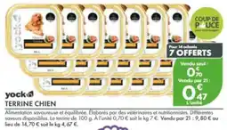 Point Vert yock TERRINE CHIEN offre