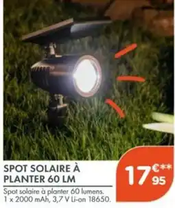 Point Vert SPOT SOLAIRE À PLANTER 60 LM offre