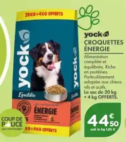 Point Vert yock CROQUETTES ÉNERGIE offre