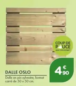 Point Vert DALLE OSLO offre