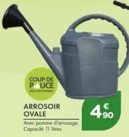 Point Vert ARROSOIR OVALE offre