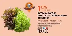 E.Leclerc BATAVIA, LAITUE, FEUILLE DE CHÊNE BLONDE OU BRUNE offre