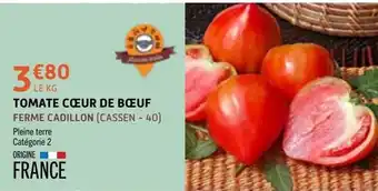 FERME CADILLON TOMATE CŒUR DE BŒUF