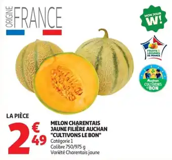 Auchan Melon Charentais jaune offre