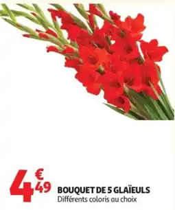 Auchan Glaïeuls offre