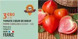 E.Leclerc Pleine terre - tomate cœur de bœuf offre