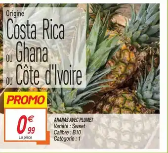 Netto Ananas Avec Plumet offre