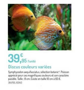 Botanic Discus Couleurs Variées offre