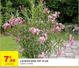 Intermarché Hyper LAURIER ROSE offre