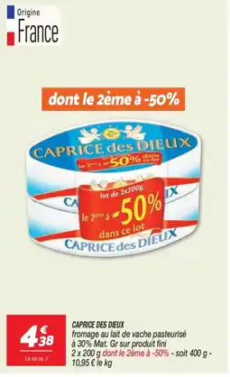 Netto CAPRICE DES DIEUX fromage au lait de vache pasteurisé offre
