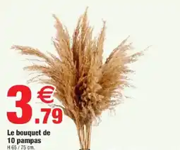 Bazarland Le bouquet de 10 pampas offre