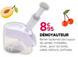 Kiriel DÉNOYAUTEUR offre