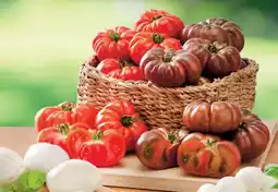 Super U Mozzarella bonbon offre