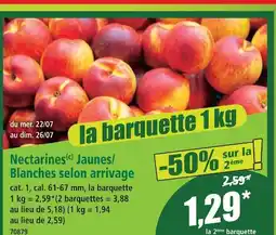 Norma Nectarines jaunes/blanches offre