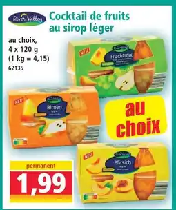 Norma Cocktail de fruits au sirop léger offre