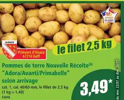Norma Pommes de terre nouvelle récolte adora/avanti/primabelle selon arrivage offre