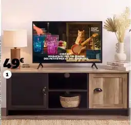 GiFi Fini - chat chat cui voleaux avec pin pins pacor des petits prix et des supéries offre