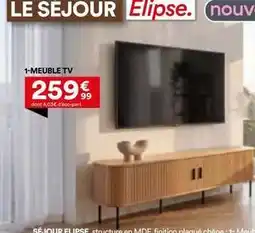 BUT Chêne - le séjour ellipse offre