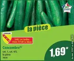 Norma Norma - concombre offre