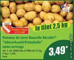 Norma Norma - pommes de terre nouvelle récolte adora offre