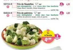 Maximo Trio de fleurettes offre