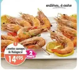 Maximo Crevettes sauvages de Madagascar offre