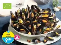 Maximo Moules entières offre