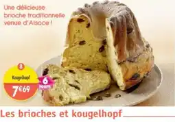 Maximo Kougelhopf offre