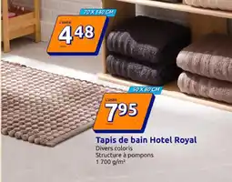 Action Tapis de bain Hotel Royal offre