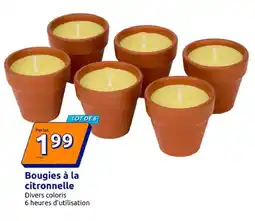 Action Bougies à la citronnelle offre