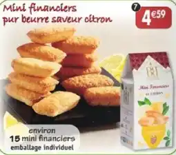 Maximo BRI Mini financiers offre