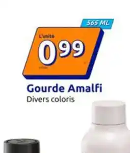 Action Gourde amalfi offre