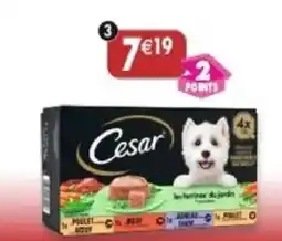 Maximo Cesar les terrines du jardin offre